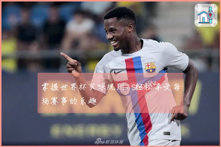 掌握世界杯买球规则，轻松享受每场赛事的乐趣