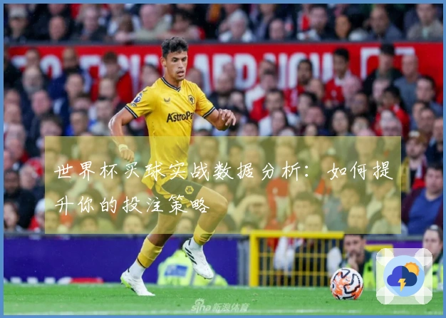 世界杯买球实战数据分析：如何提升你的投注策略