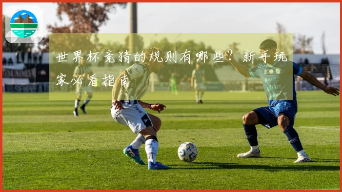 世界杯竞猜的规则有哪些？新手玩家必看指南