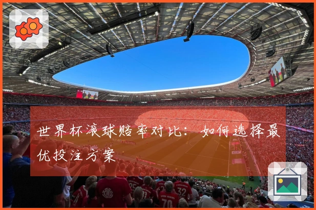 世界杯滚球赔率对比：如何选择最优投注方案