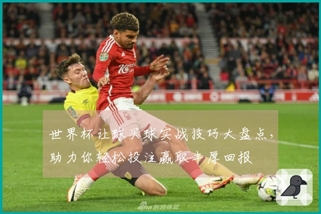 世界杯让球买球实战技巧大盘点，助力你轻松投注赢取丰厚回报